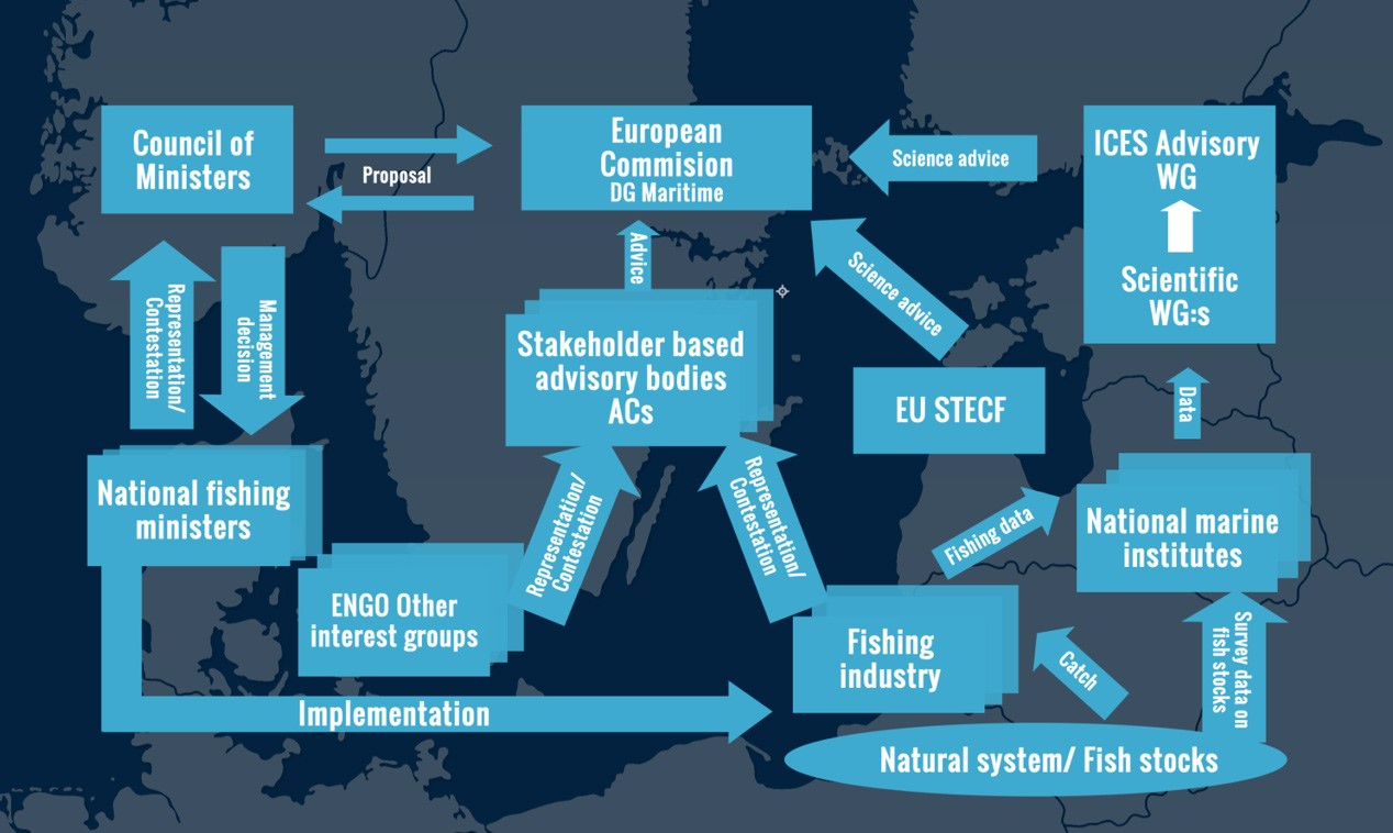 eu fisheries management
