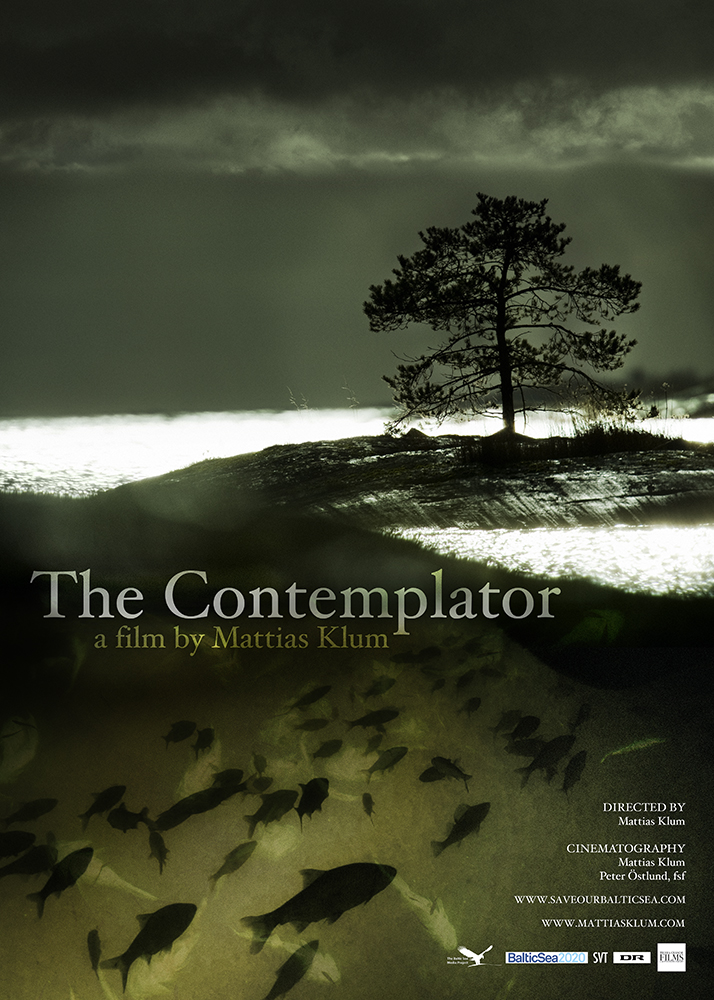 TheContemplator small