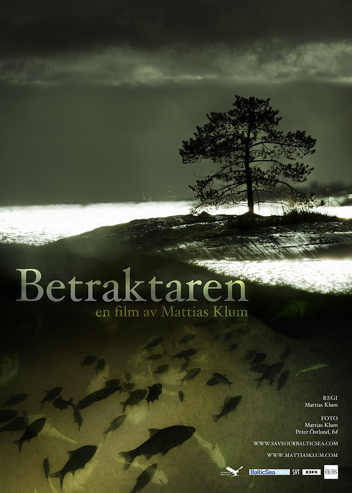 Betraktaren small